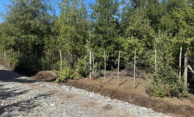 Se vende parcela de 5.000 m2 en Vilches Alto