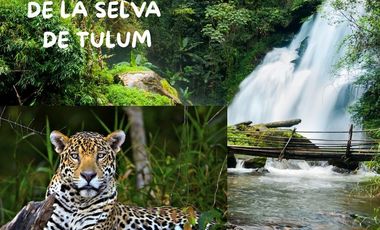 HOTEL EN VENTA EN TULUM Terreno 6,000 m2 CONSTRUCCION 1,600 m2