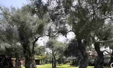 VENTA DE DEPARTAMENTO CON LINDA VISTA AL OLIVAR DE SAN ISIDRO.