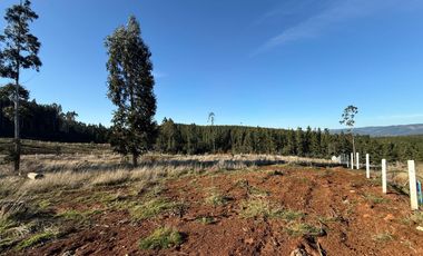 Oportunidad Única en Paillaco, Región de Los Ríos -  Sector Los Ulmos