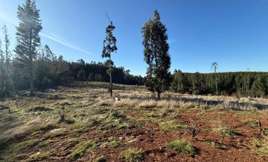 Oportunidad Única en Paillaco, Región de Los Ríos -  Sector Los Ulmos