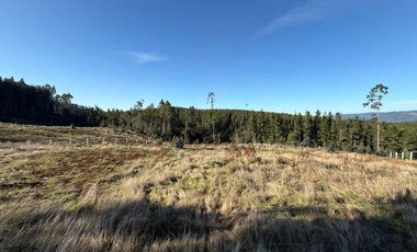 Oportunidad Única en Paillaco, Región de Los Ríos -  Sector Los Ulmos