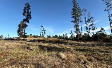 Oportunidad Única en Paillaco, Región de Los Ríos -  Sector Los Ulmos