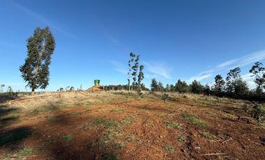 Oportunidad Única en Paillaco, Región de Los Ríos -  Sector Los Ulmos
