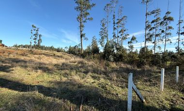 Oportunidad Única en Paillaco, Región de Los Ríos -  Sector Los Ulmos