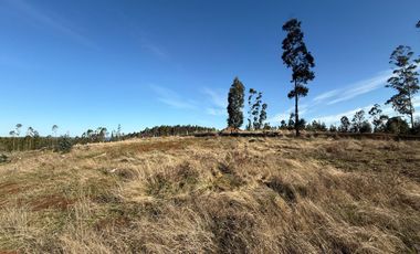 Oportunidad Única en Paillaco, Región de Los Ríos -  Sector Los Ulmos