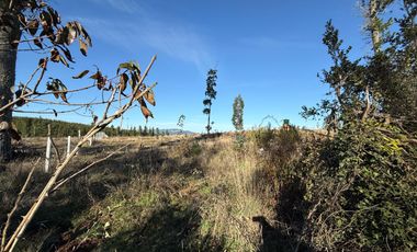Oportunidad Única en Paillaco, Región de Los Ríos -  Sector Los Ulmos
