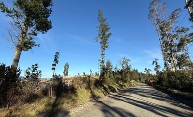 Oportunidad Única en Paillaco, Región de Los Ríos -  Sector Los Ulmos