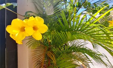 HERMOSA CASA DE 2 RECÁMARAS, TOTALMENTE AMUEBLADA Y EQUIPADA, PLAYA DEL CARMEN