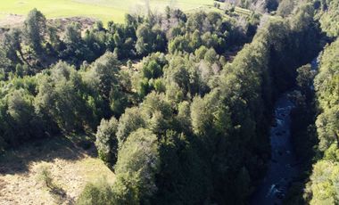 Lotes en Río Bueno, El Boquial – Región de Los Ríos