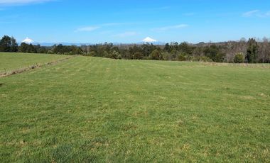 Lotes en Río Bueno, El Boquial – Región de Los Ríos
