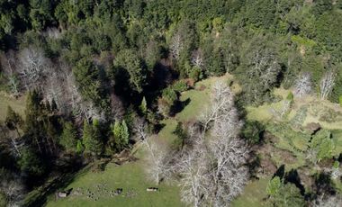 Lotes en Río Bueno, El Boquial – Región de Los Ríos