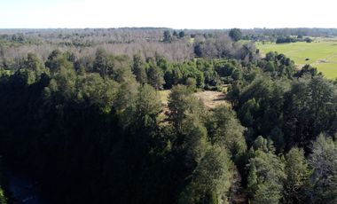 Lotes en Río Bueno, El Boquial – Región de Los Ríos