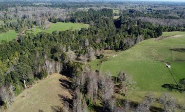 Lotes en Río Bueno, El Boquial – Región de Los Ríos