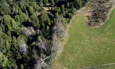 Lotes en Río Bueno, El Boquial – Región de Los Ríos