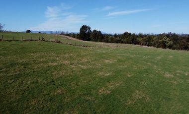 Lotes en Río Bueno, El Boquial – Región de Los Ríos