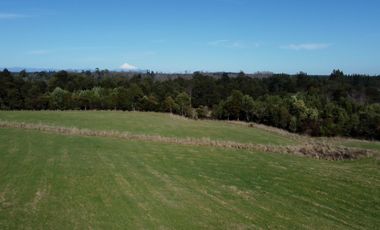 Lotes en Río Bueno, El Boquial – Región de Los Ríos