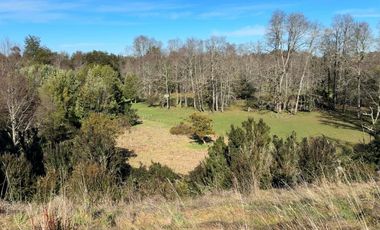 Lotes en Río Bueno, El Boquial – Región de Los Ríos