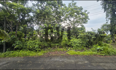 Expansive 937 sqm Lot for Sale in Mandala South, Timberland Heights – Nature Meets Investment