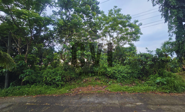 Expansive 937 sqm Lot for Sale in Mandala South, Timberland Heights – Nature Meets Investment