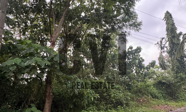 Expansive 937 sqm Lot for Sale in Mandala South, Timberland Heights – Nature Meets Investment