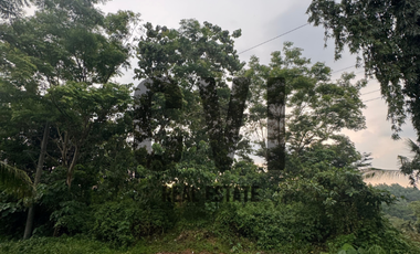 Expansive 937 sqm Lot for Sale in Mandala South, Timberland Heights – Nature Meets Investment