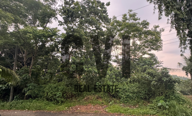 Expansive 937 sqm Lot for Sale in Mandala South, Timberland Heights – Nature Meets Investment