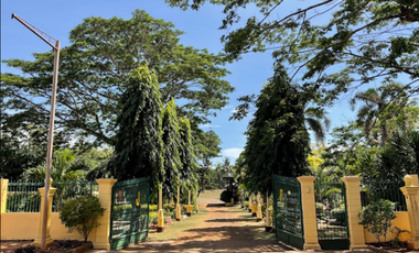 Vacation House for Sale in Gabinete Road, Puerto Princesa, Palawan | 5,000 sqm Lot