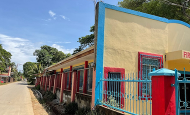 Vacation House for Sale in Gabinete Road, Puerto Princesa, Palawan | 5,000 sqm Lot