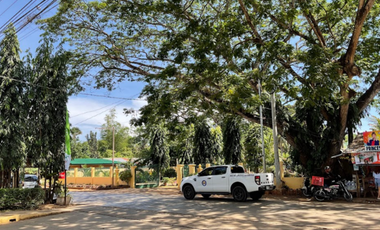 Vacation House for Sale in Gabinete Road, Puerto Princesa, Palawan | 5,000 sqm Lot