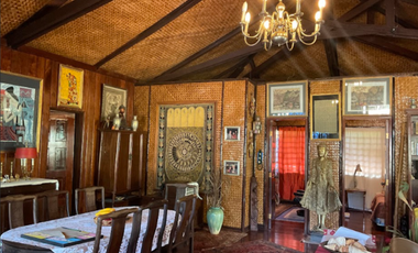 Vacation House for Sale in Gabinete Road, Puerto Princesa, Palawan | 5,000 sqm Lot