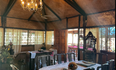 Vacation House for Sale in Gabinete Road, Puerto Princesa, Palawan | 5,000 sqm Lot