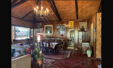 Vacation House for Sale in Gabinete Road, Puerto Princesa, Palawan | 5,000 sqm Lot