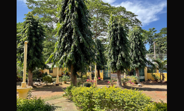 Vacation House for Sale in Gabinete Road, Puerto Princesa, Palawan | 5,000 sqm Lot