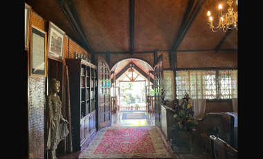 Vacation House for Sale in Gabinete Road, Puerto Princesa, Palawan | 5,000 sqm Lot