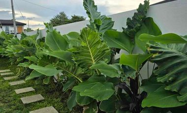 Brand New House and Lot for Sale in Verdana Homes Mamplasan Open for Bank Financing