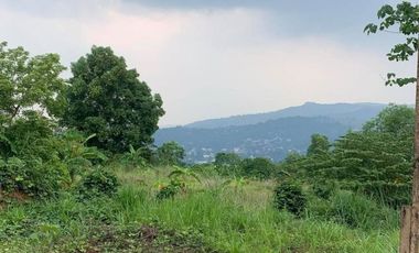 3 BEDROOMS HOUSE AND LOT FOR SALE IN ANTIPOLO - THE NEST HORIZON