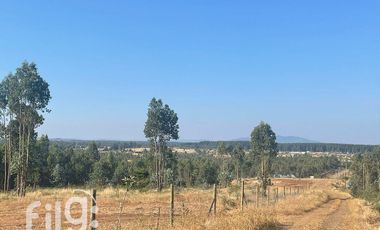 Venta de Terreno en San Nicolás, Naturaleza y Tranquilidad