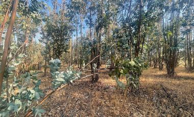 Venta de Terreno en San Nicolás, Naturaleza y Tranquilidad