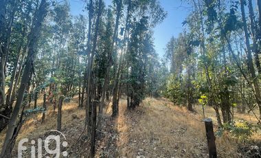 Venta de Terreno en San Nicolás, Naturaleza y Tranquilidad