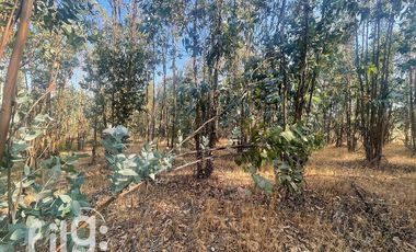Venta de Terreno en San Nicolás, Naturaleza y Tranquilidad