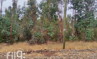 Venta de Terreno en San Nicolás, Naturaleza y Tranquilidad