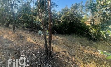 Venta de Terreno en San Nicolás, Naturaleza y Tranquilidad