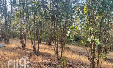 Venta de Terreno en San Nicolás, Naturaleza y Tranquilidad