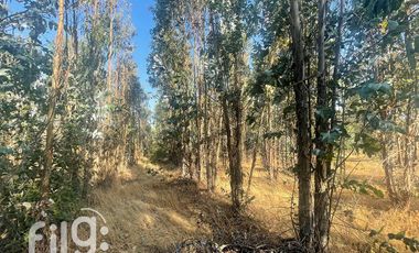 Venta de Terreno en San Nicolás, Naturaleza y Tranquilidad