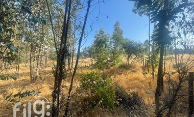 Venta de Terreno en San Nicolás, Naturaleza y Tranquilidad