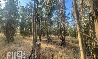 Venta de Terreno en San Nicolás, Naturaleza y Tranquilidad