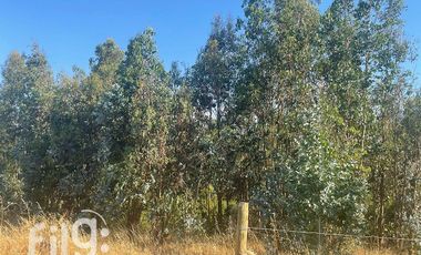 Venta de Terreno en San Nicolás, Naturaleza y Tranquilidad