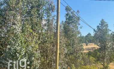 Venta de Terreno en San Nicolás, Naturaleza y Tranquilidad