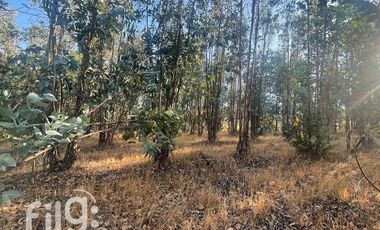Venta de Terreno en San Nicolás, Naturaleza y Tranquilidad